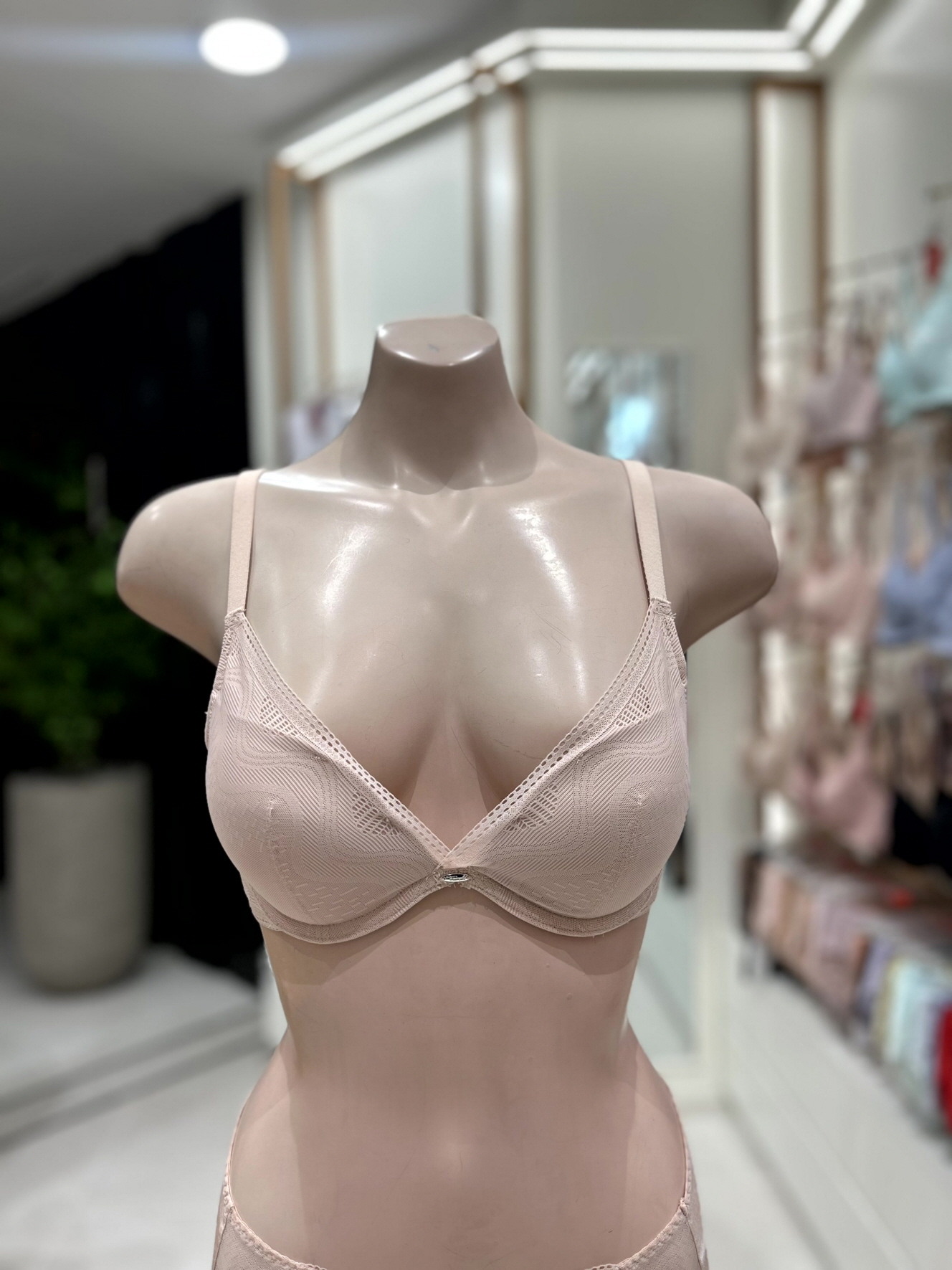 [현대백화점] 트라이엄프 강푸쉬업 (75A-80B)(TEWBR221 BE) 25SS 여성 베이지 에어라이트 볼륨업 브래지어 +할인쿠폰