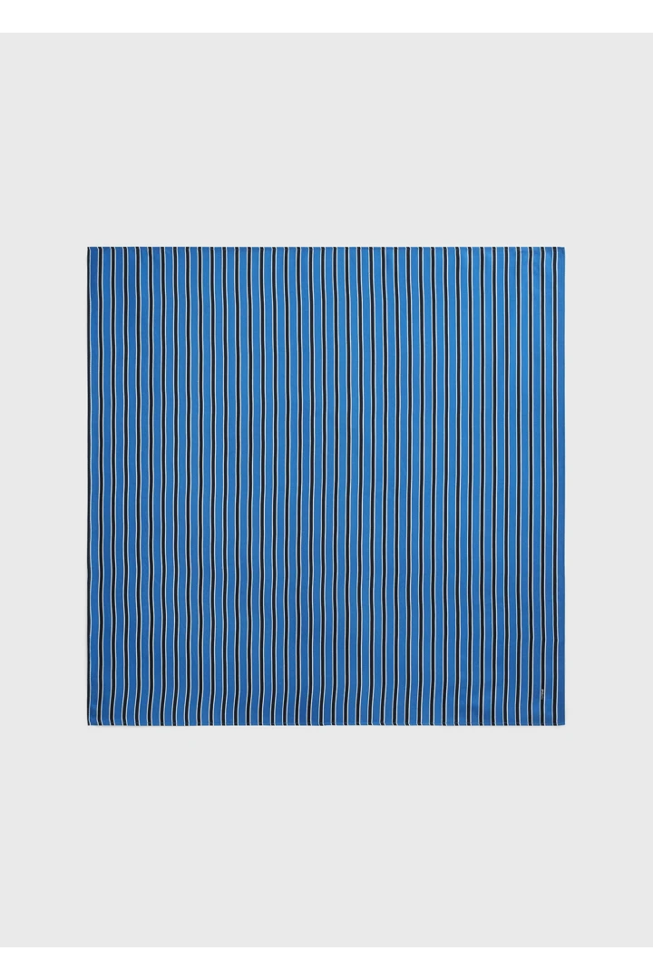 TOTEME 스트라이프 실크 스카프 블루/네이비의 블루/네이비컬러 0번쨰 이미지입니다.