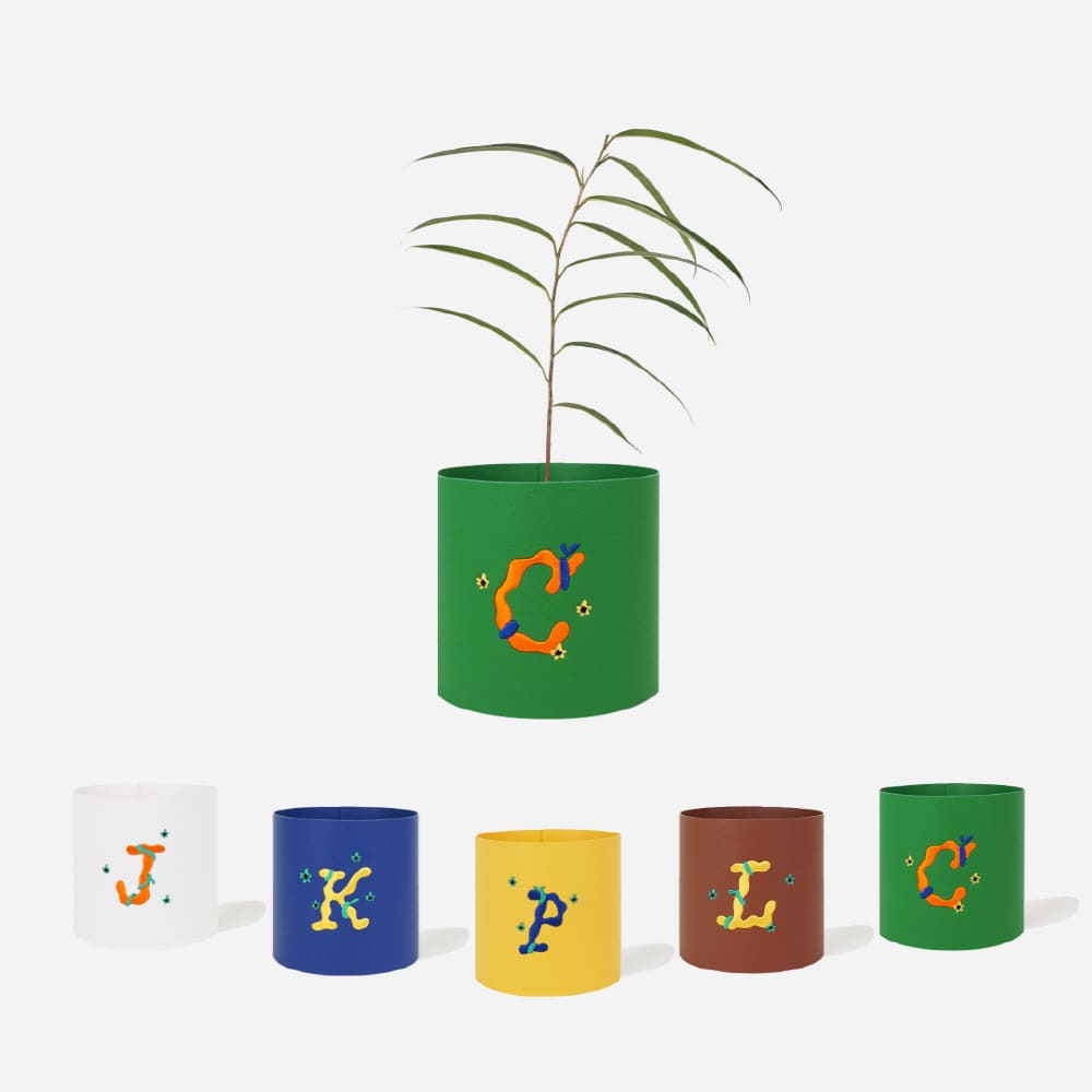 플랫츠 [현대백화점] [H.Point Pay현대백화점카드5%즉시할인~03/29]알리고무나무 + 팟커버(화분커버) 이니셜 S +할인쿠폰