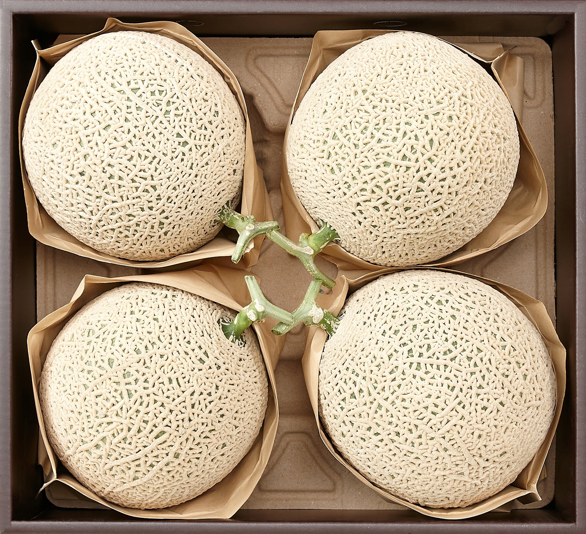 [02-513] 머스크멜론 세트